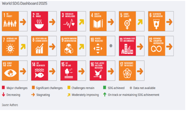 Sustainable Development Report (SDR) 2025